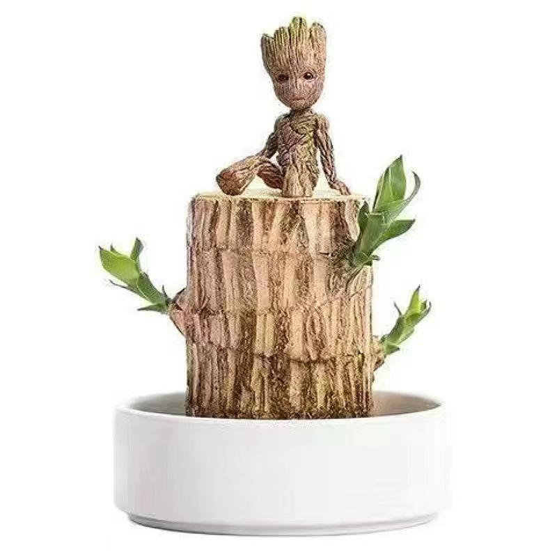 Brazilian Wood Hydroponic Plants Lucky Wood Stump with Buds Flowering Tabletop Small Potted Plant Groot